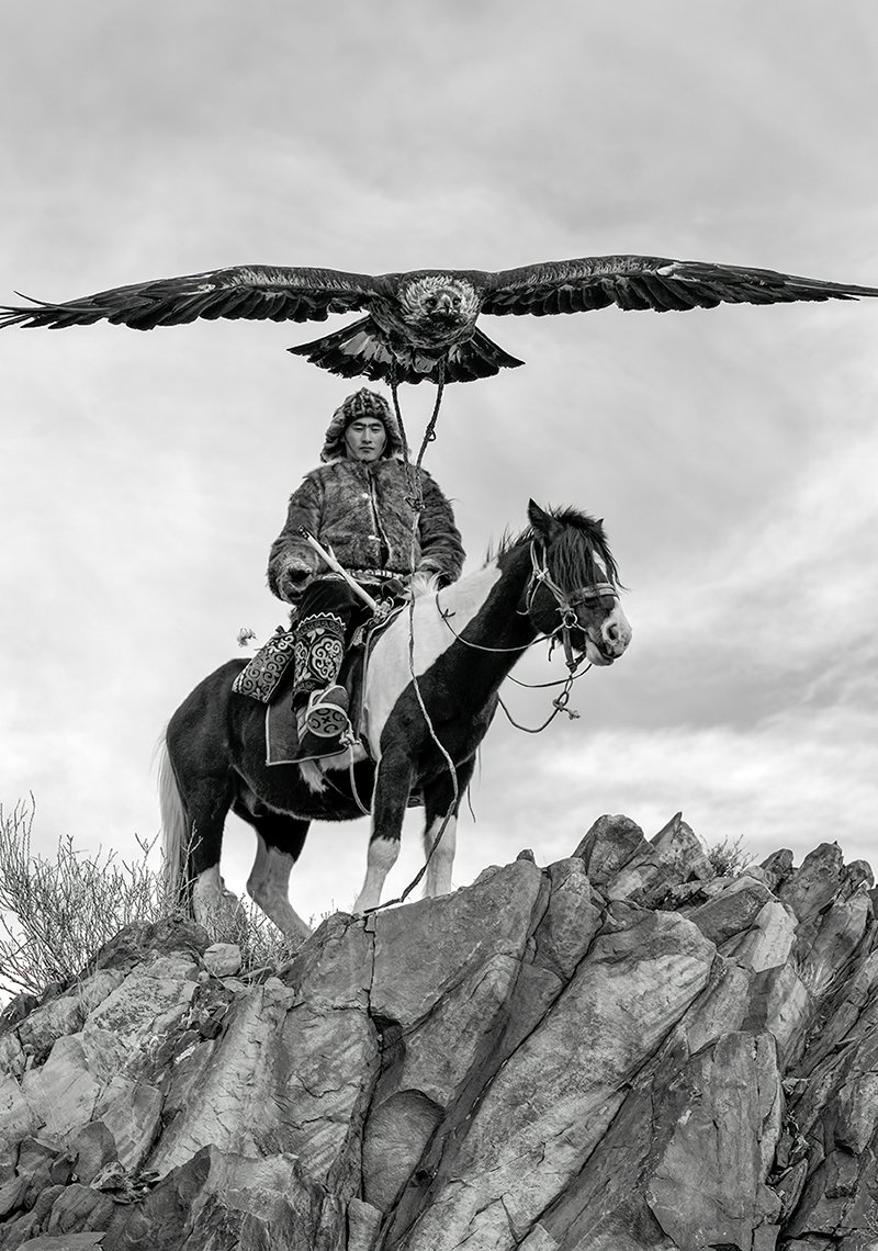 Sagsai Golden Eagle Festival Tour Mongolia 2026